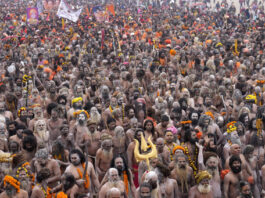 Naga Sadhus for ritualistic dips at Sangam, the confluence of the Rivers Ganges, Yamuna and mythical Saraswati on one of the most auspicious day Makar Sankranti, for the Maha Kumbh festival in Prayagraj, India, Tuesday, Jan. 14, 2025. (AP Photo/Rajesh Kumar Singh)