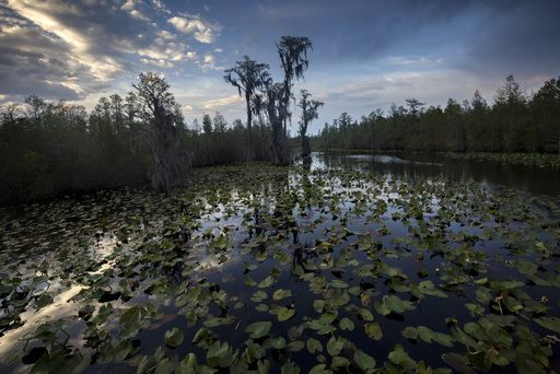 Authority greenlights expansion of Okefenokee wildlife reserve, paving the way for potential acquisition of mining operation.