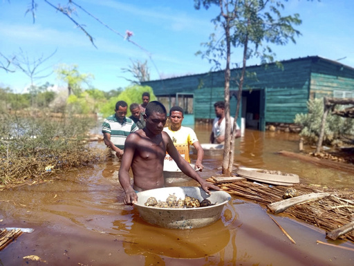 Madagascar floods lead to the rescue of thousands of at-risk tortoises from a sanctuary