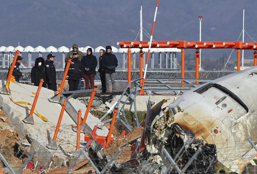 Report on South Korean aircraft accident indicates discovery of bird debris in engines, but cause remains undisclosed.