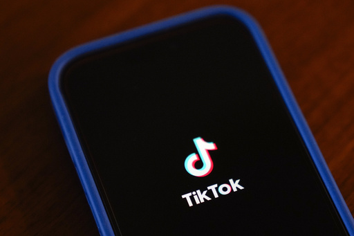 The ascent and possible decline of TikTok in America