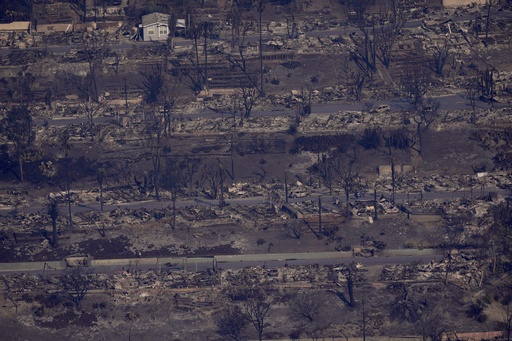 Image collection: Aerial shots reveal the extent of damage caused by the Pacific Palisades wildfire