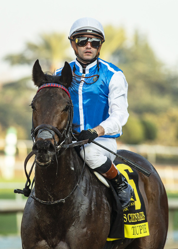 Thorpedo Anna, the filly, clinches Horse of the Year title at the Eclipse Awards.