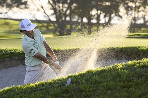 Ludvig Aberg and Lanto Griffin tie for the lead as strong coastal winds disrupt the Farmers Insurance Open.