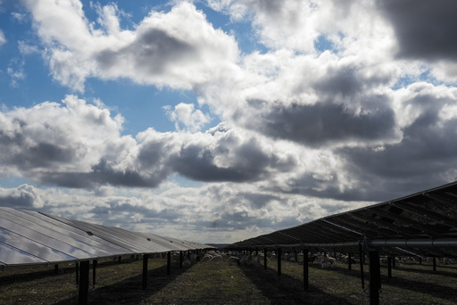 In the US, the rise of solar farms is creating job opportunities for thousands of eager sheep.