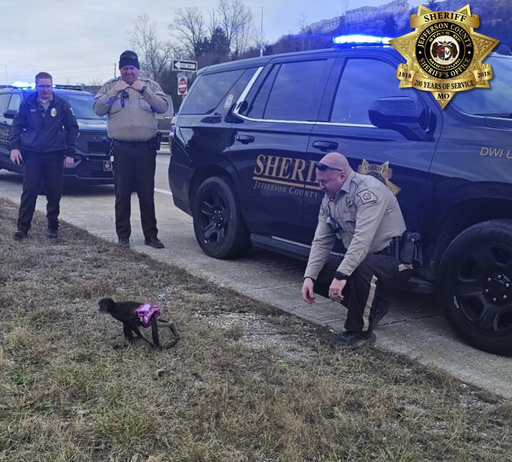 Tutu-wearing monkey flees from residence; Missouri sheriff likens capture to ‘pure madness’