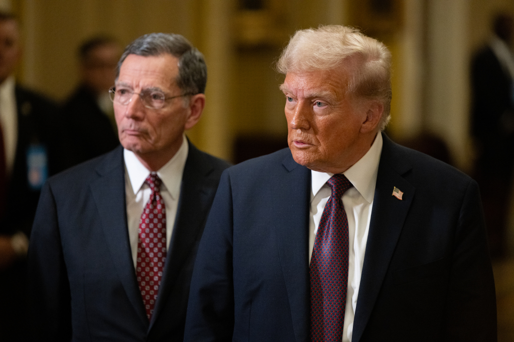 WASHINGTON, DC - JANUARY 8: President-elect Donald Trump speaks to the press following a meeting with Senate Republicans at the U.S. Capitol Building in Washington, DC on January 8, 2025. (Photo by Nathan Posner/Anadolu via Getty Images)