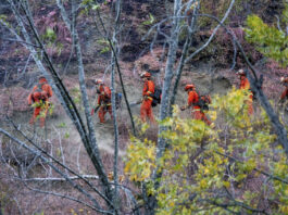 FILE - Inmate firefighters battling the Palisades Fire construct hand line to protect homes along Mandeville Canyon Road, Jan. 12, 2025, in Los Angeles. (AP Photo/Noah Berger, File)