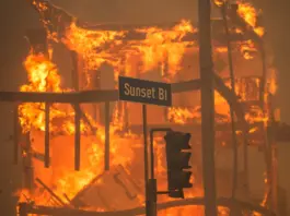 Flames from the Palisades Fire burn a building on Sunset Boulevard amid a powerful windstorm on January 8, 2025 in the Pacific Palisades neighborhood of Los Angeles, California. APU GOMES/GETTY IMAGES (The Hollywood reporter)