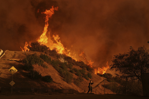 Wildfires ravage schools in Los Angeles, obliterating outdoor learning spaces