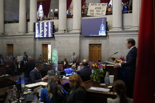 Updated Tennessee House regulations may prohibit heckling and require unruly legislators to vote from a distance.