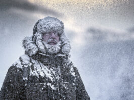 Snow, Winter, Mountain Climbing, Fur Hat, Snowflake, full beard