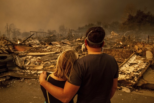 Impact of Los Angeles Wildfires on California’s Home Insurance Industry