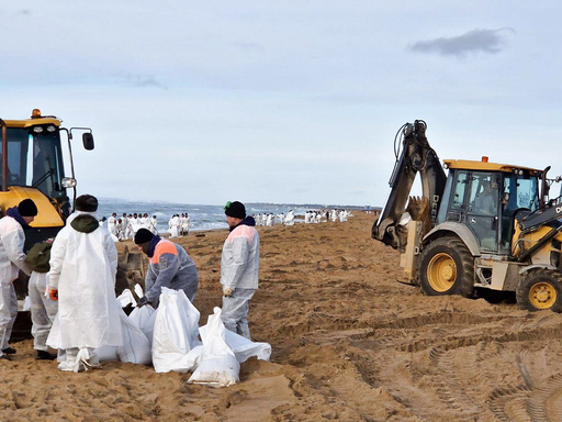 Experts report over 30 dolphins have perished following an oil spill in southern Russia.