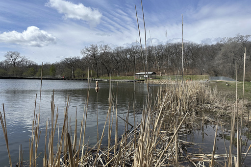 Renowned artwork to be taken down from an Iowa park as its artist concedes defeat in preservation efforts.