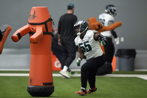 Eagles defensive end Brandon Graham makes comeback from torn triceps for the Super Bowl.