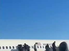 Terrified Delta passengers are seen standing on the wing of the aircraft as they evacuated