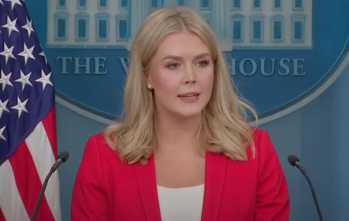 Karoline Leavitt Shakes Up Press Access to the President (Photo: NBC News/YouTube)