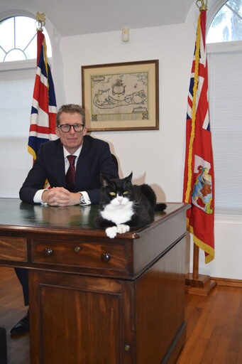 Britain’s leading cat ambassador returns from retirement for the ‘paw-some’ role.