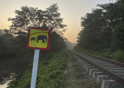 Train collides with elephant herd in Sri Lanka, resulting in death of 6 elephants