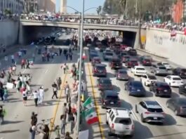 LA freeway shut down by protesters over Trump’s immigration crackdown (Photo: KTLA5/YouTube)