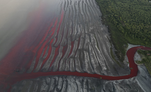 ‘The water resembles a blood-red stream.’ A Buenos Aires river turns crimson, raising concerns of contamination.