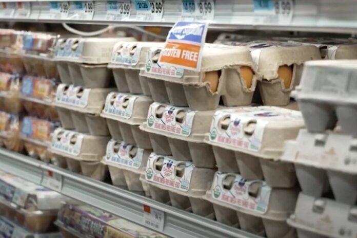 Egg Crisis Hits Hard: Bird Flu Causes Skyrocketing Prices and Supermarket Restrictions