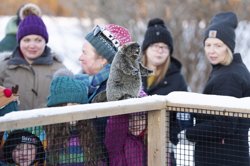 Punxsutawney Phil spots his shadow, indicating 6 additional weeks of cold weather, according to his handlers.