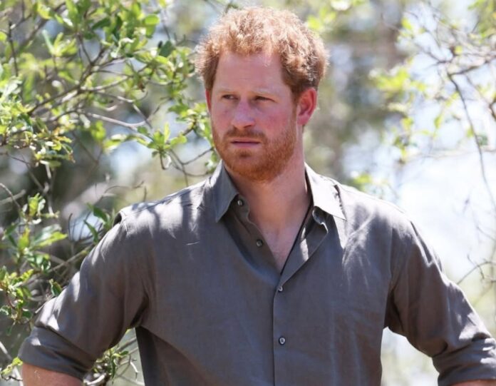 DHS Shocks with Decision on Prince Harry's Secret Visa Records (Photo: Instagram)