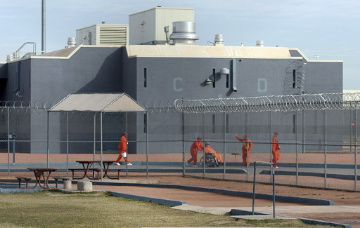 Attorneys for prisoners request court intervention to manage health care in Arizona correctional facilities.