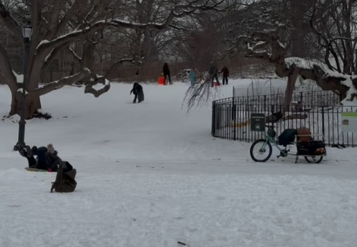 Snow covered Prospect Park in Brooklyn.