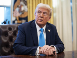 President Donald Trump at the White House on Feb. 4 © Jabin Botsford/The Washington Post