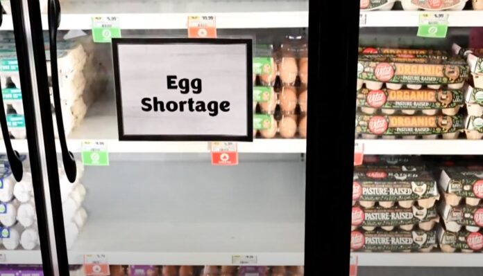 Egg Shortage Creates Panic Across the Nation (Photo: WCNC/YouTube)