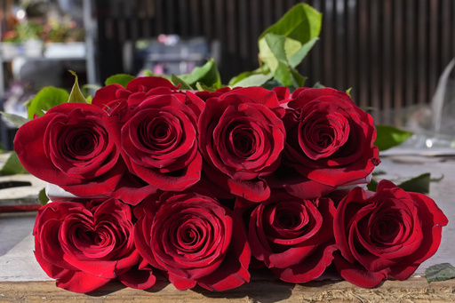 French organization raises Valentine’s Day alert over pesticide levels in cut flowers