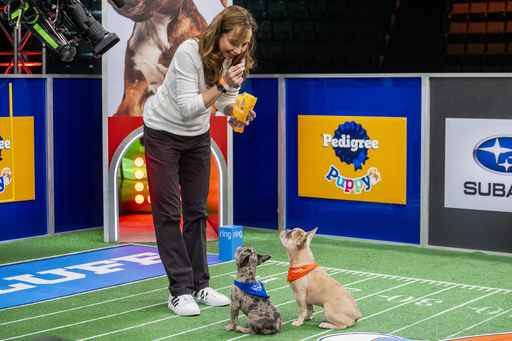 Introducing the woman ensuring the adorable puppies enjoy themselves at this year’s ‘Puppy Bowl’