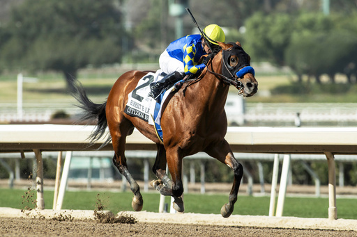 Triple Crown series attracts 373 horse nominations, including 32 from trainer Todd Pletcher