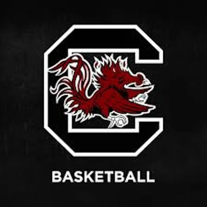 Basketball in South Carolina: Ranking the top men’s players (Photo: Gamerocks)