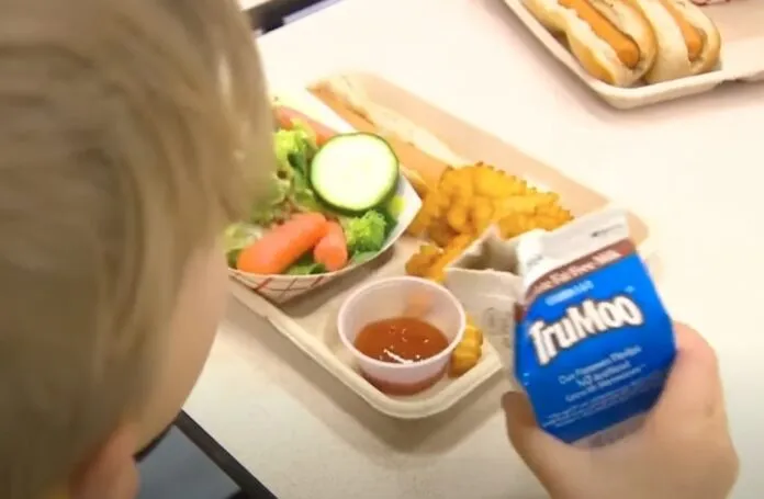 Bill Passes in Utah to Provide Free Meals for Students in Need (Photo: FOX 13 News Utah/YouTube)