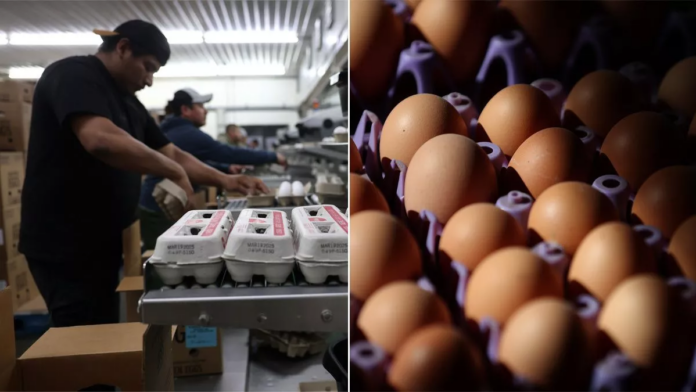 Trump may have to accept eggs from Canada