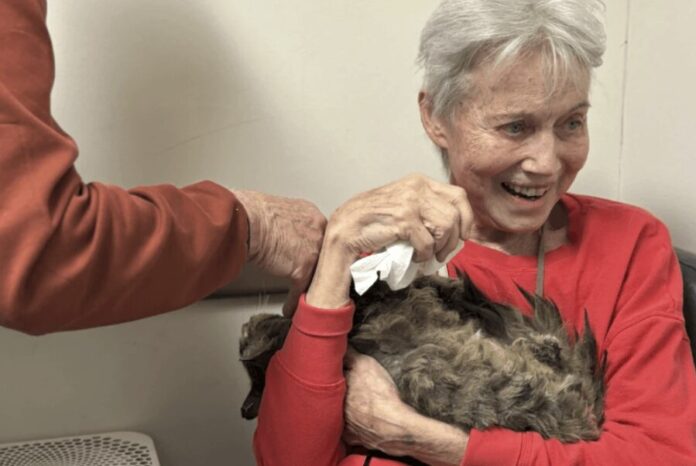 Cat reunion after wildfire, Photo @ 13WHAM